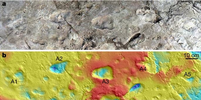 Empreintes d'hominines fossilisées dans de la cendre volcanique à Laetoli, en Tanzanie