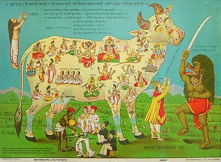 Lithographie en couleurs d’une vache blanche dont le corps est rempli de petites figures peintes de dieux et déesses hindous.