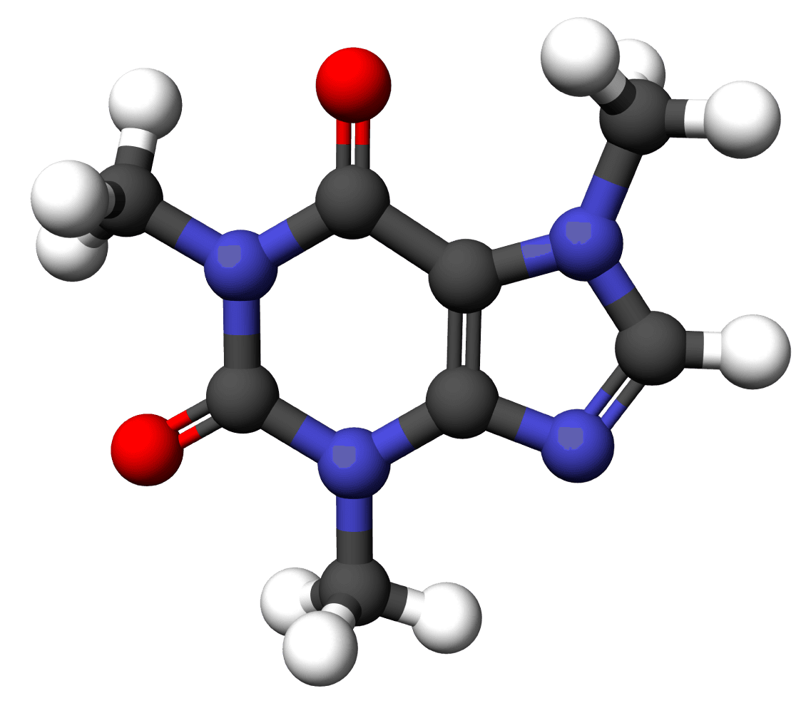 Ball-and-stick molecular model of the caffeine molecule, showing its ring structure.