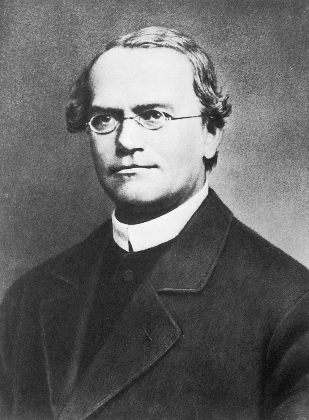 Black-and-white photographic portrait of Gregor Mendel, a balding man in an Augustinian monk's habit.