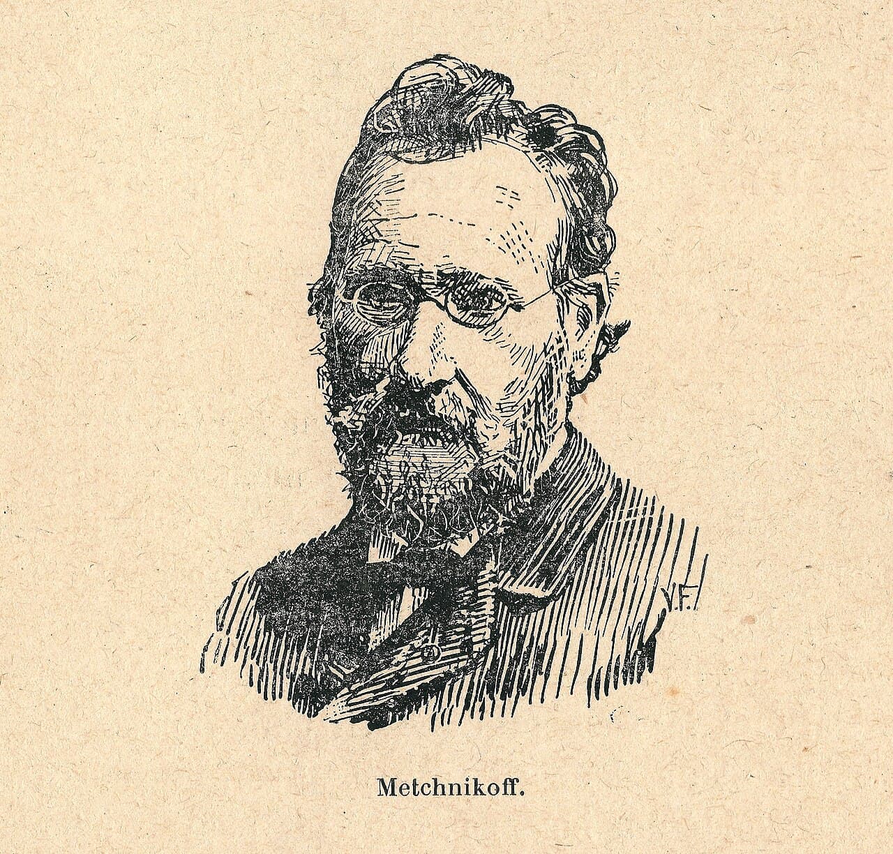 Portrait photographique en noir et blanc d'Élie Metchnikoff, un homme barbu, pris en 1905.