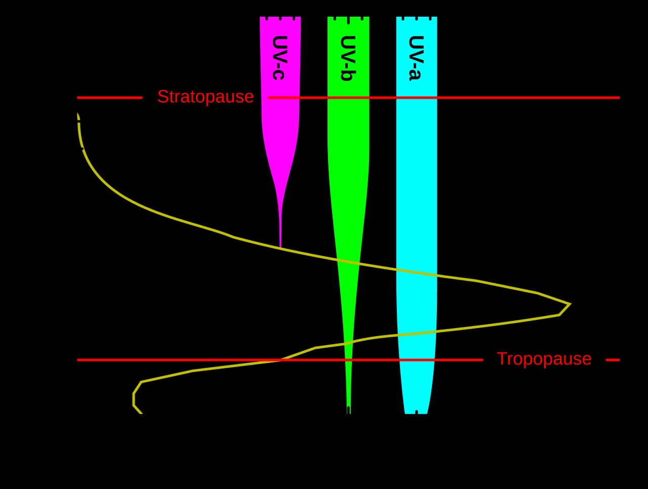 Graphique montrant la concentration d'ozone selon l'altitude et la pénétration des UV-a, UV-b et UV-c dans l'atmosphère.