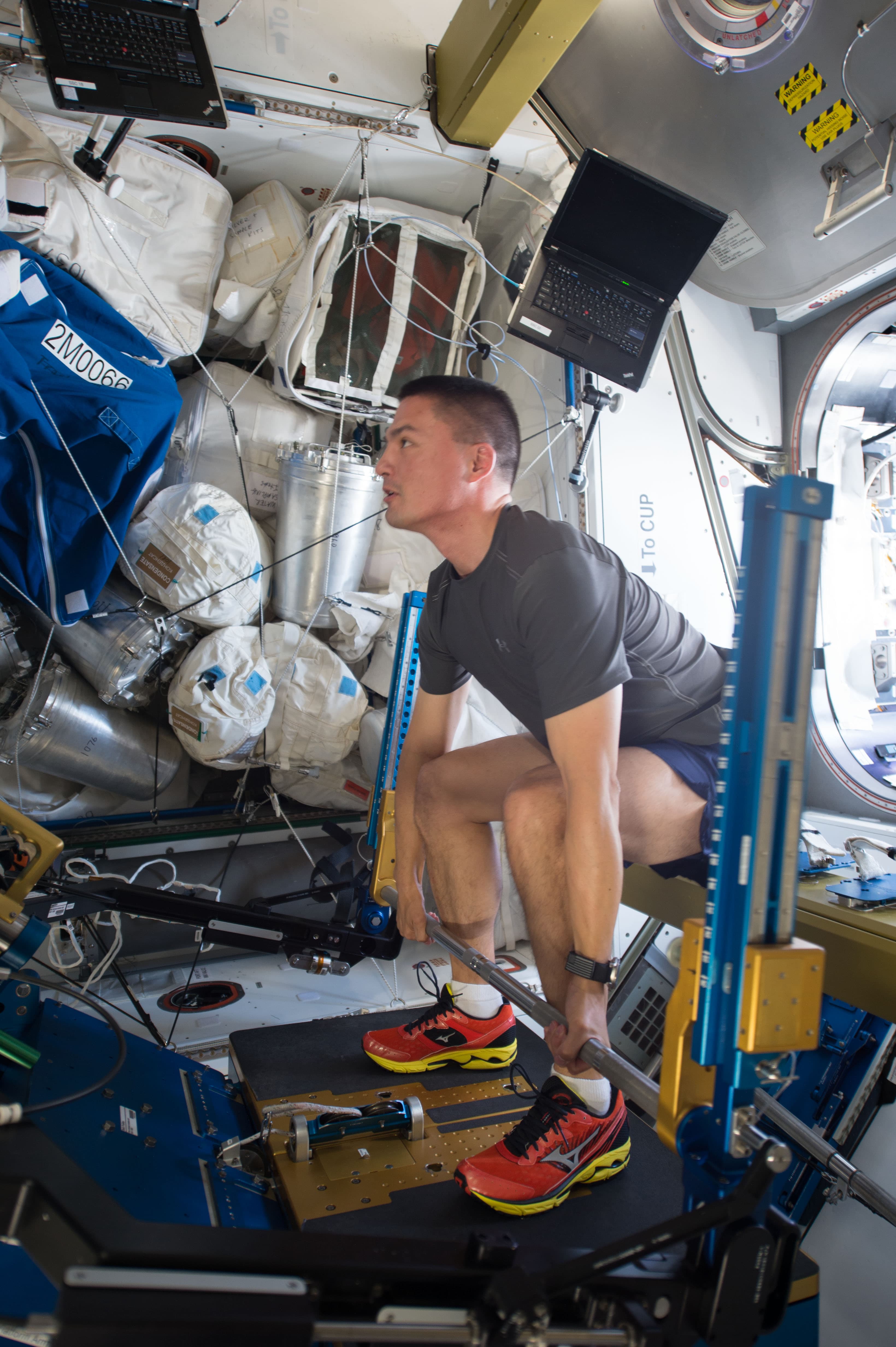 Un astronaute à bord de la Station spatiale internationale s'entraîne sur l'Advanced Resistive Exercise Device, sanglé avec des câbles et des barres.