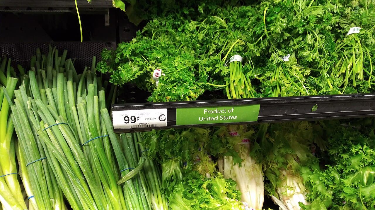 Des bottes de persil et d'oignons verts dans un supermarché, avec une étiquette à 99 cents pièce.