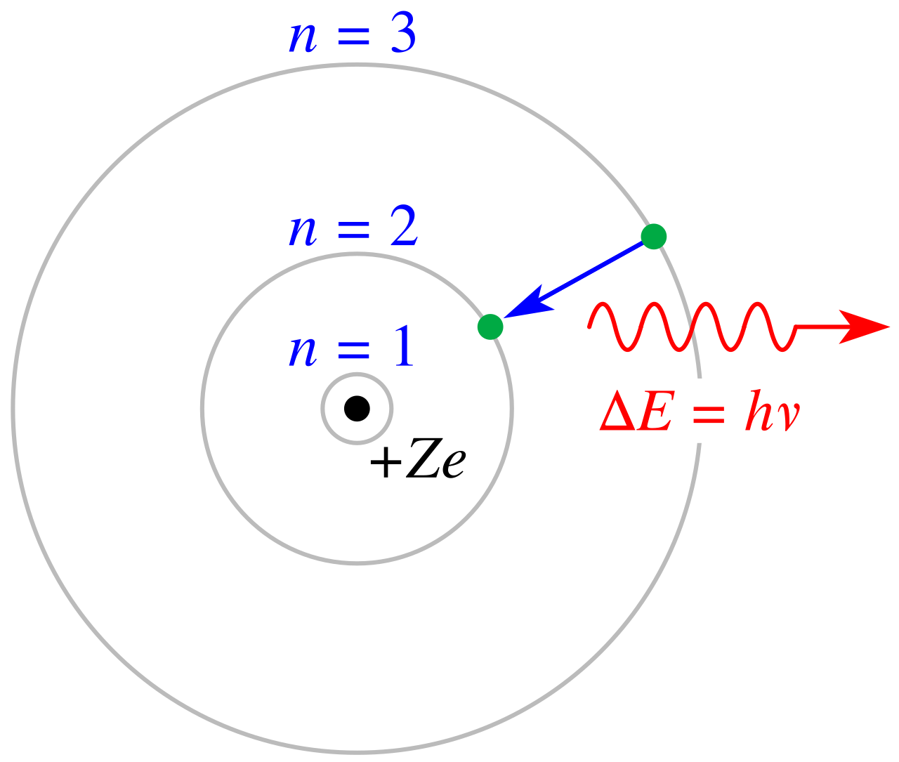 Schéma du modèle de Bohr : un noyau central entouré d'orbites concentriques sur lesquelles se déplacent des électrons.