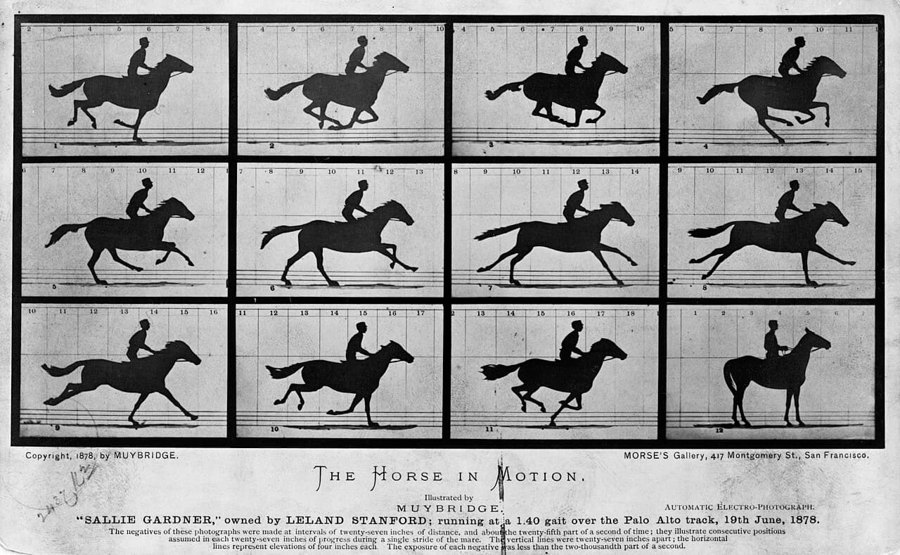 Une grille de douze petites photos en silhouette d'un cheval et de son cavalier à différents moments du galop.