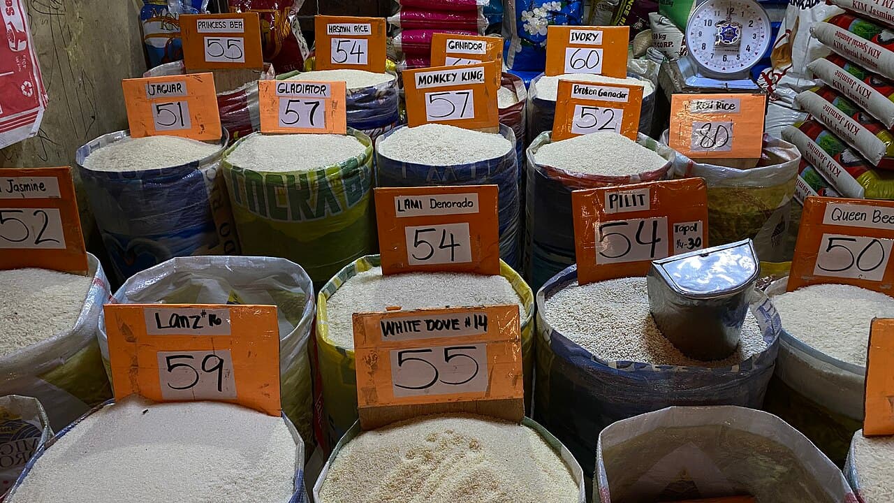 Un étal de riz traditionnel sur un marché