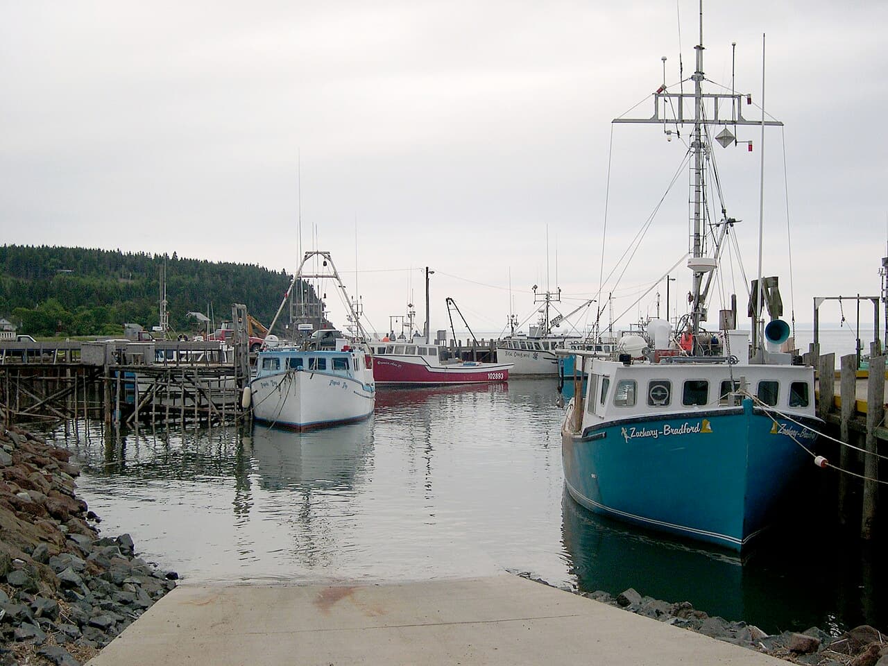 La baie de Fundy à marée haute, l'eau recouvrant des zones de rivage exposées à marée basse.